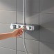 Душевая колонна Grohe Euphoria с термостатом Хром (26508000)