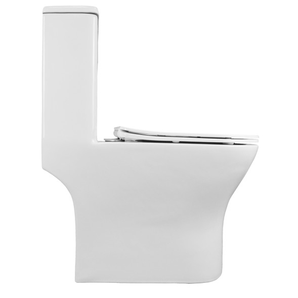 Унитаз-моноблок AZARIO Terni 670x350x760 слив &amp;quot;Торнадо&amp;quot;, быстросъемное сиденье микролифт (AZ-8618T)