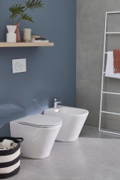 Унитаз приставной Jacob Delafon Rodin+ безободковый, белый (EDAA102-00)