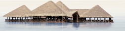 Панно 249x1000 Del Mare - PWU09DLM1