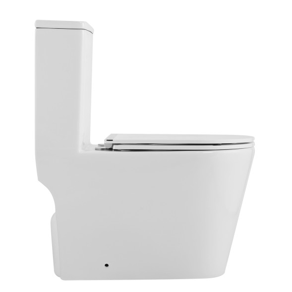 Унитаз-моноблок AZARIO Nimbus 360x680х813 безободковый, система слива &amp;quot;скрытое торнадо&amp;quot;, в комплекте с быстросъемным сиденьем микролифт (AZ-6080-AP)