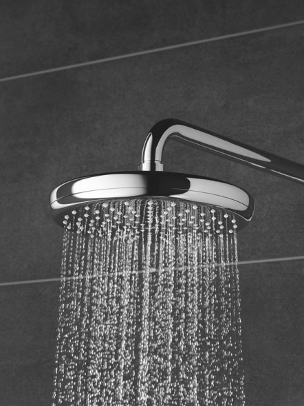 Верхний душ Grohe Tempesta Хром (26412000)
