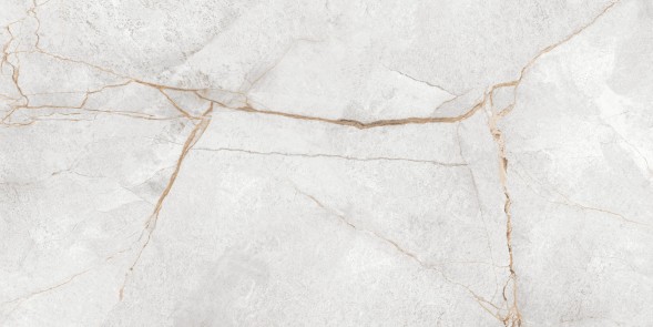 Керамогранит 600x1200 Special Marmo Gray - 60120PEC15P