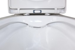 Унитаз-компакт Azario Rise 385х623х792 напольный, безободковый с быстросъемным сиденьем микролифт (AZ-68D)