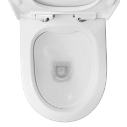 Унитаз-компакт Azario Mist 385х610х800 напольный, безободковый, с быстросъемным сиденьем микролифт (AZ-45)