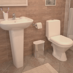 Унитаз-компакт Jika ERA горизонтальный выпуск (8.2453.2.000.242.9)