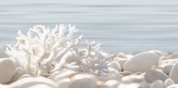 Декор 249x500 Del Mare - DWU09DLM624