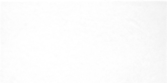 Плитка настенная 249x500 Monocolor - TWU09MNR020