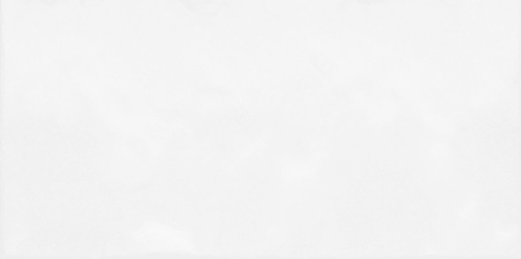 Плитка настенная 249x500 Monocolor - TWU09MNR030