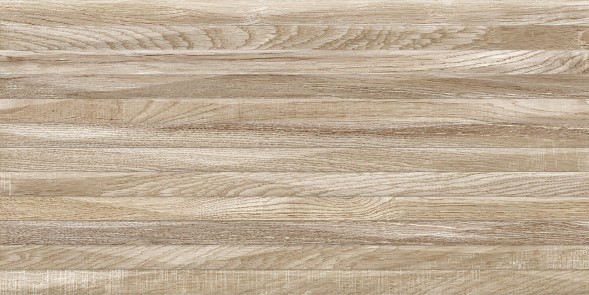 Плитка настенная 249x500 Euphoria - TWU2550EPH44