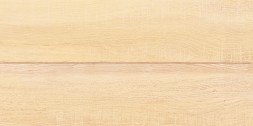 Плитка настенная 249x500 Briole Wood - WT9BRE11