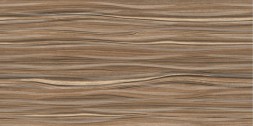 Плитка настенная 249x500 Plesso - TWU09PLS404