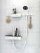 Крючок Hansgrohe WallStoris белый матовый 2 шт. (27914700)