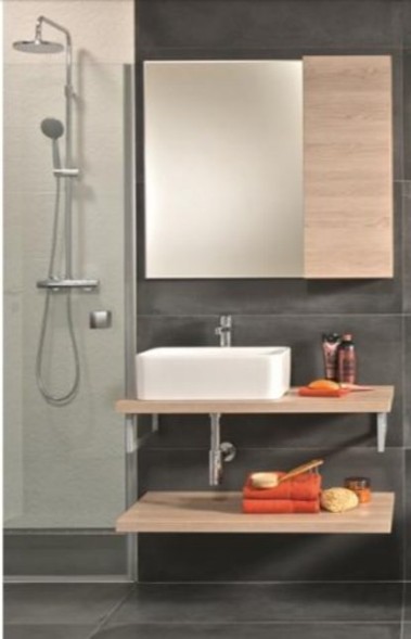 Раковина Roca Mila 35х50 32700B000