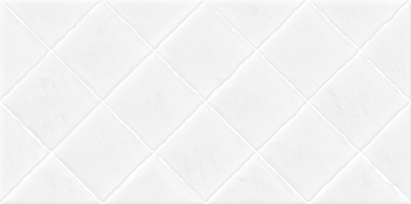 Плитка настенная 249x500 Salvia - TWU09SVA000