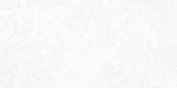 Плитка настенная 249x500 Stone - TWU09TON000