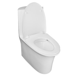 Унитаз моноблок Azario Luna 770x390x710 напольный, горизонтальный слив, сиденье дюропласт микролифт (AZ-1037)