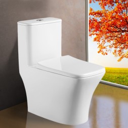 Унитаз-моноблок AZARIO Teano 695x370x740 напольный, горизонтальный слив, сиденье дюропласт микролифт (AZ-8621)