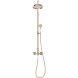 Душевая система Jacob Delafon Cleo 1889 золото глянцевое (E24311-BGG)