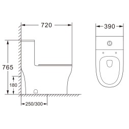 Унитаз-моноблок AZARIO SINTO 720х390х765 напольный, в комплекте с сиденьем дюропласт микролифт, белый (AZ-1098)