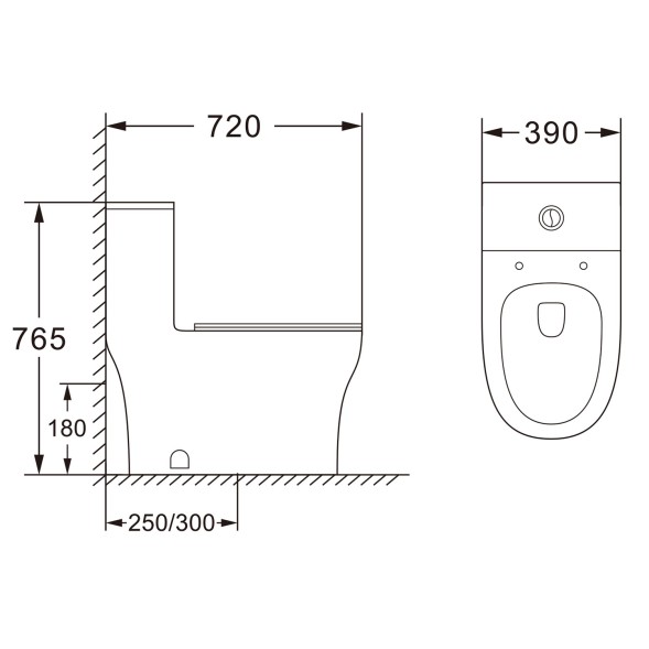 Унитаз-моноблок AZARIO SINTO 720х390х765 напольный, в комплекте с сиденьем дюропласт микролифт, белый (AZ-1098)