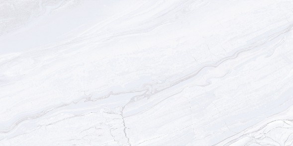 Плитка настенная 249x500 Arcadia - TWU09ARC007