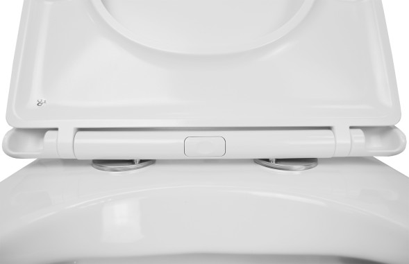 Унитаз подвесной Azario MONEO 530х365х370 безободковый, в комплекте с быстросъемным сидением микролифт (AZ-0062)