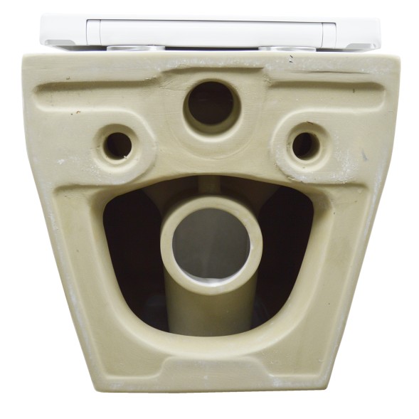 Унитаз подвесной Azario MONEO 530х365х370 безободковый, в комплекте с быстросъемным сидением микролифт (AZ-0062)