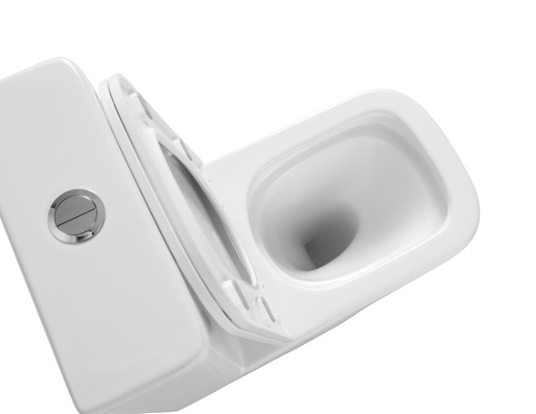 Унитаз-компакт Azario Terra 610х365х835 напольный, безободковый, система смыва &amp;quot;Скрытое торнадо&amp;quot;, в комплекте с быстросъемным сиденьем микролифт (AZ-6003-A)