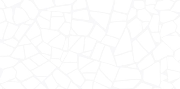 Плитка настенная 249x500 Smalta White - WT9SML00