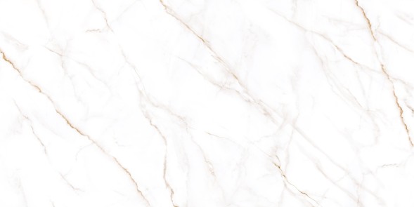 Керамогранит 600x1200 Neo Calacatta - GFU60120NCL04R