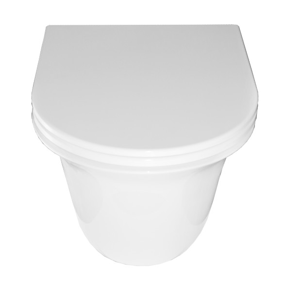 Унитаз подвесной Azario Felice 490х360х360 безободковый, быстросъемное сиденье микролифт (AZ-0051)